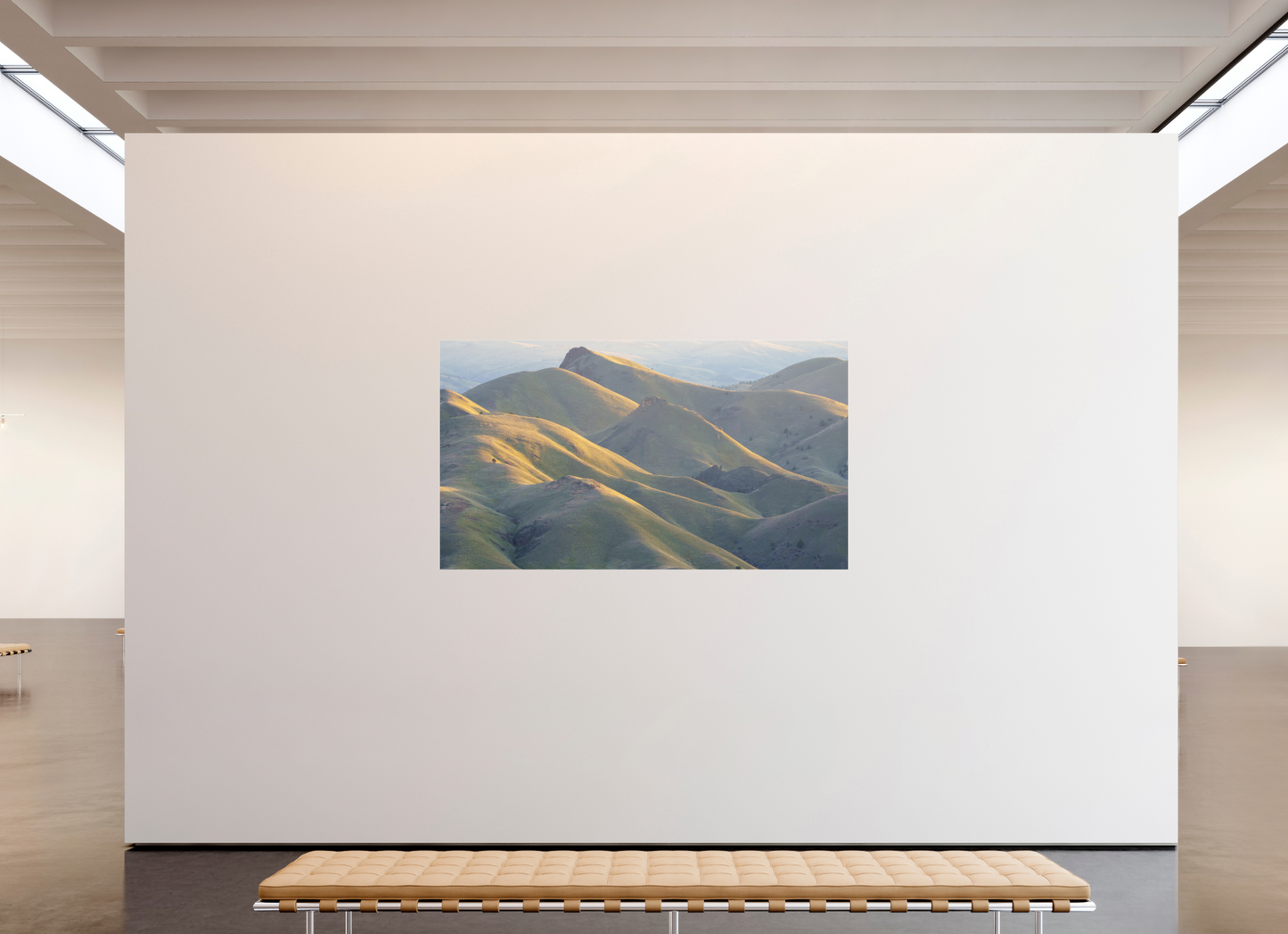 80 x 45″, Photo Print Under Acrylic Glass Forest Green Outback