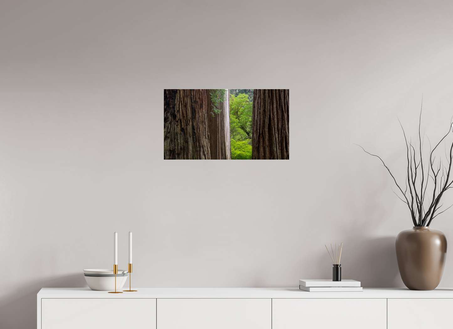 Stout Grove Redwoods