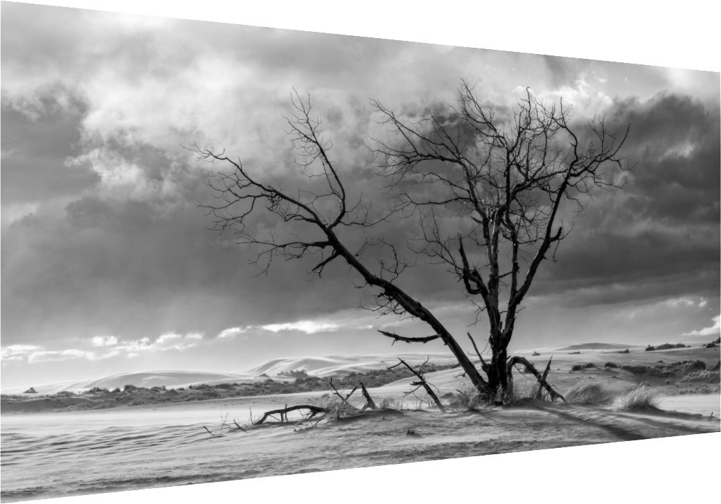 In A Landscape