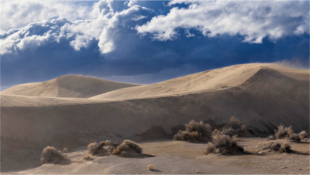Christmas Valley Sand Dunes