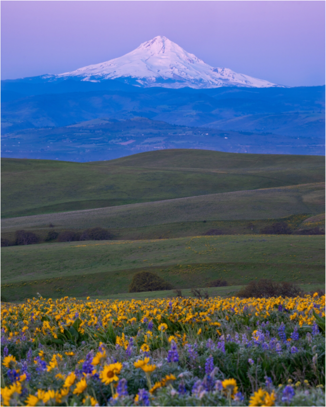 Mount Hood Spring