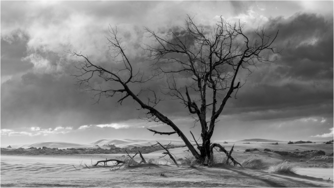 In A Landscape