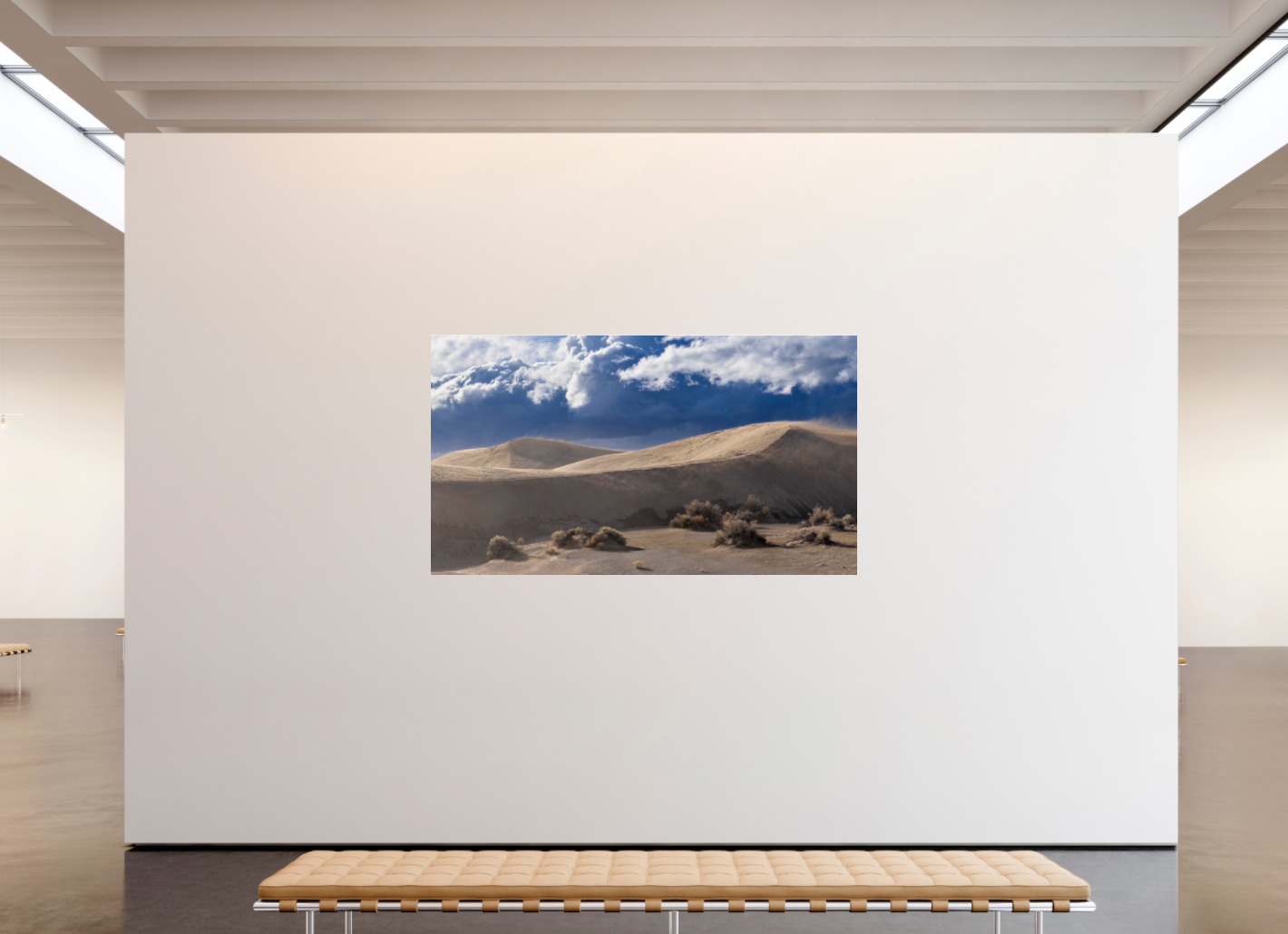 Christmas Valley Sand Dunes