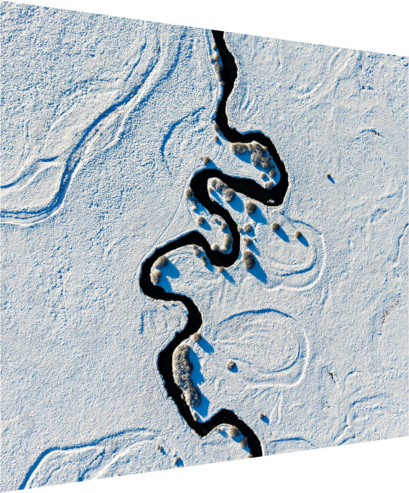 Snow Squiggle