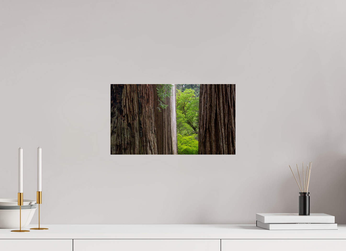 Stout Grove Redwoods