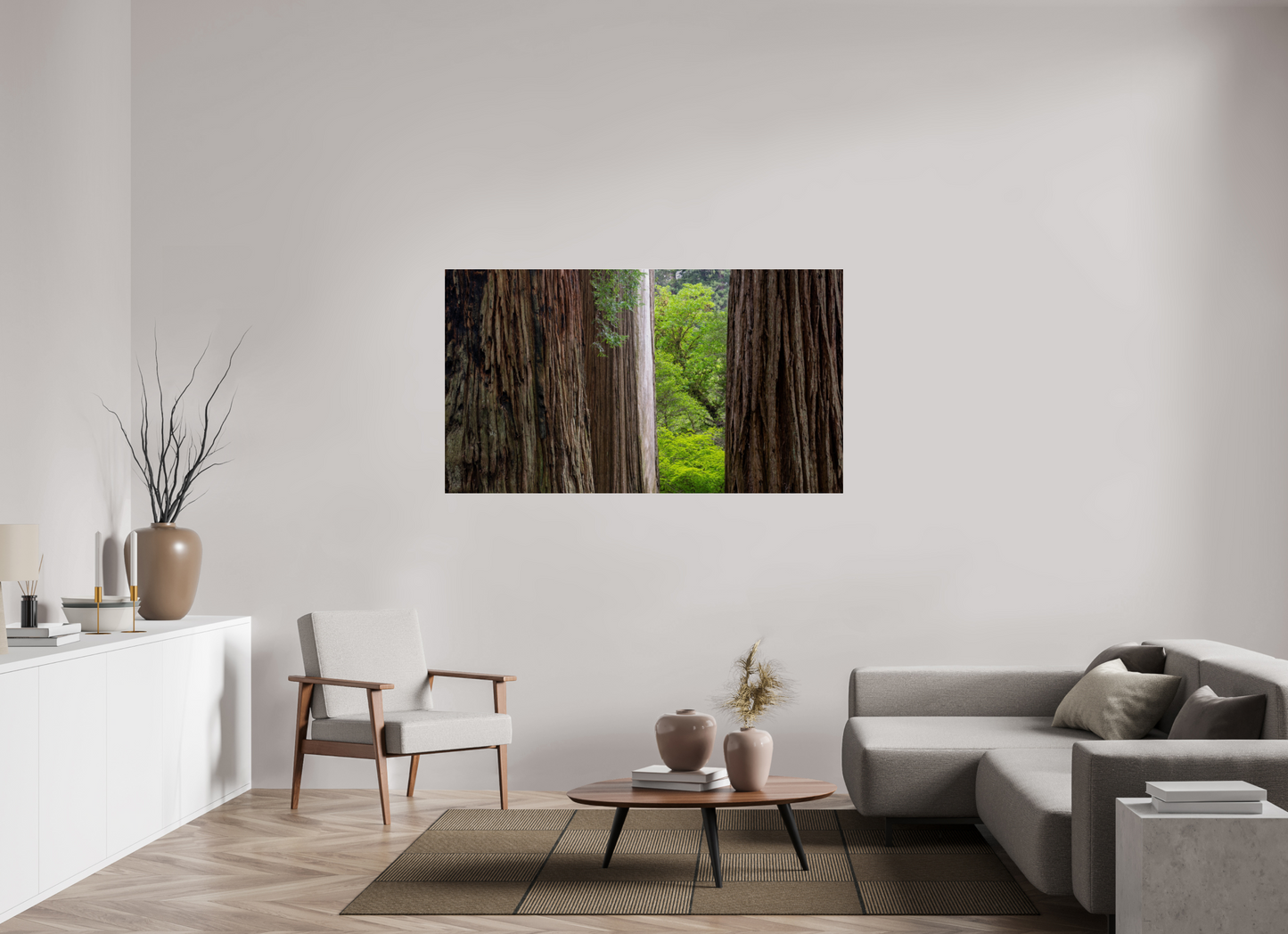 Stout Grove Redwoods
