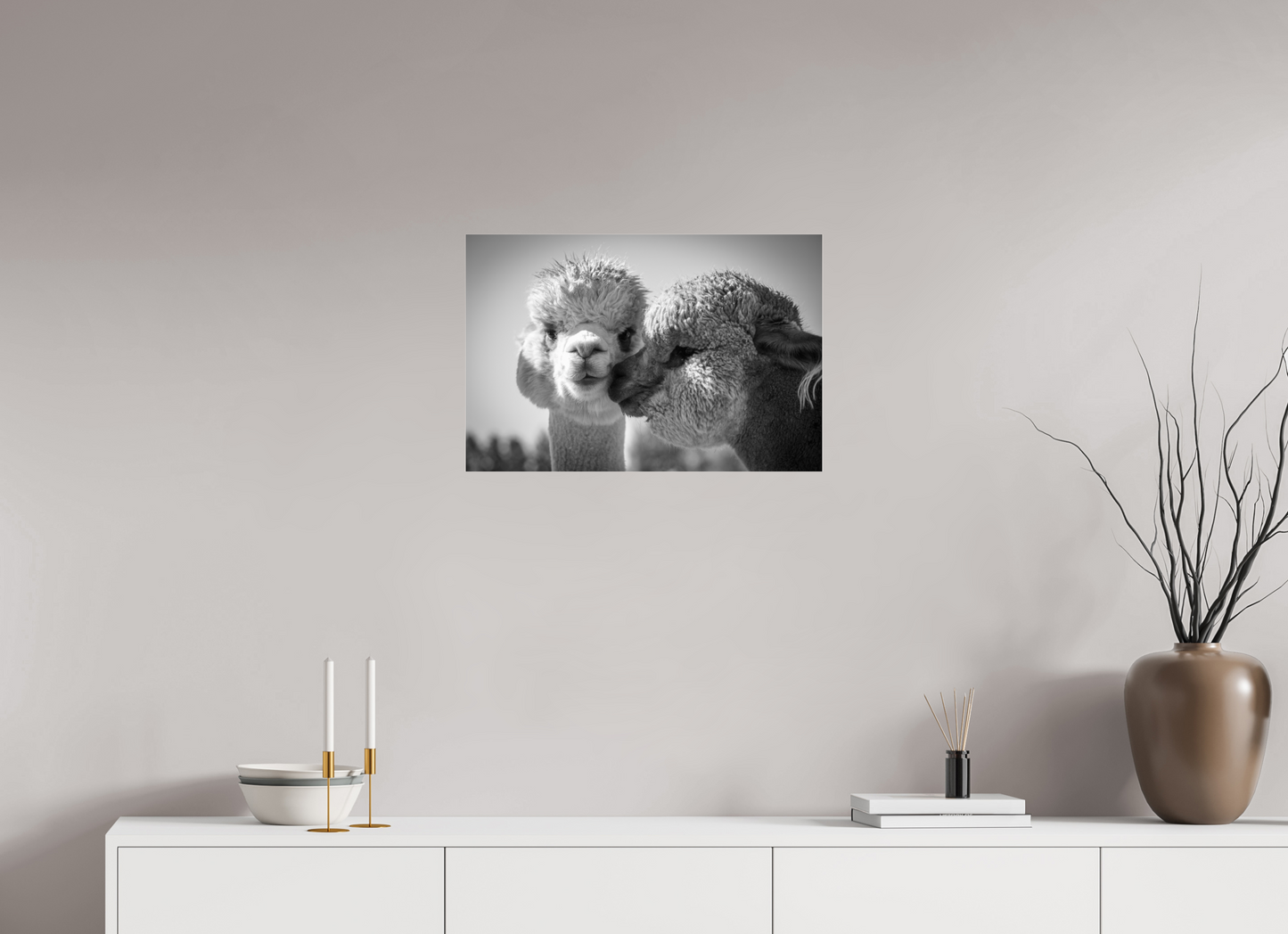 24 x 16″, Photo Print Under Acrylic Glass Alpaca Kiss