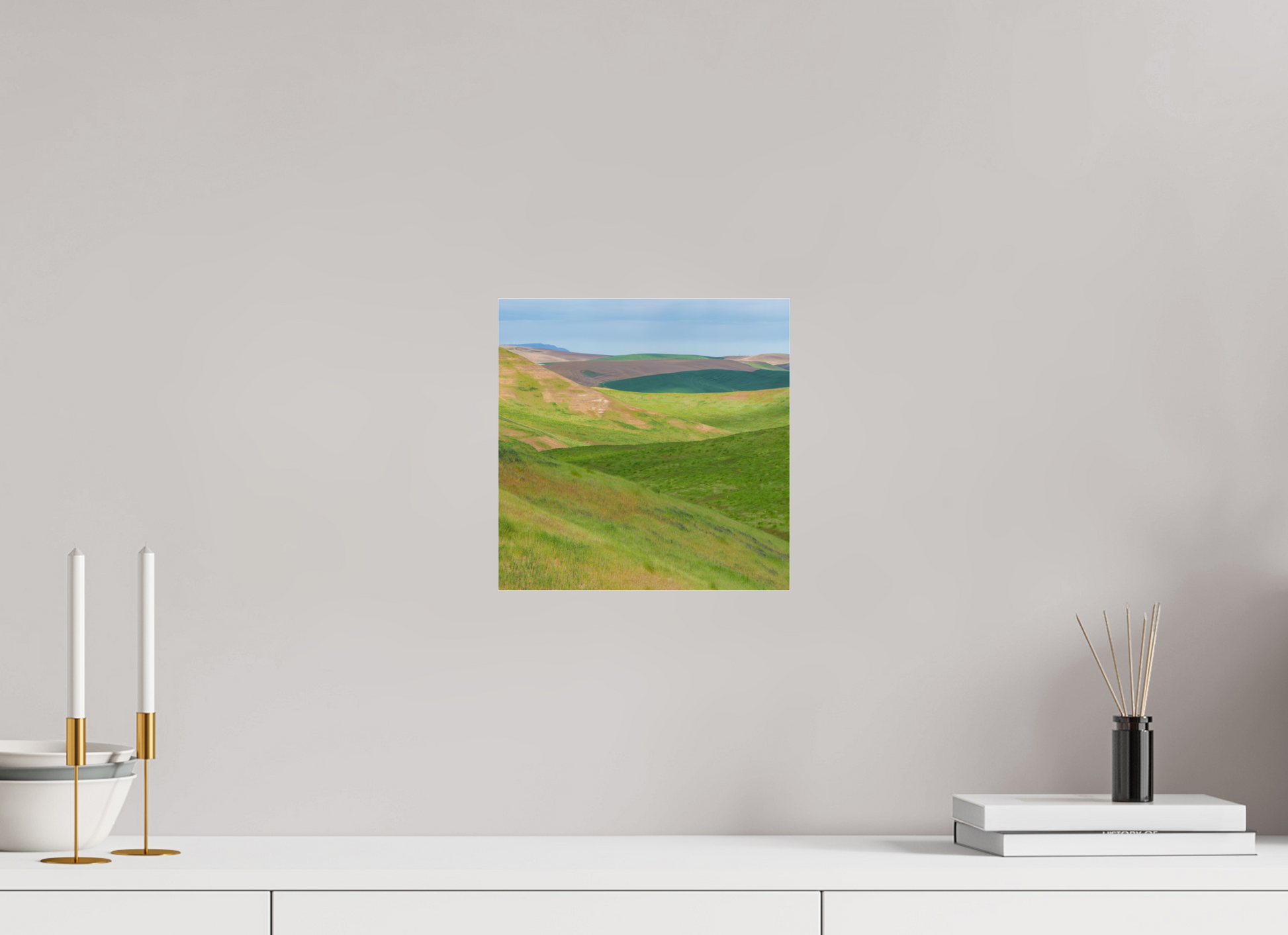 10 x 10″, Photo Print Under Acrylic Glass Green TBA