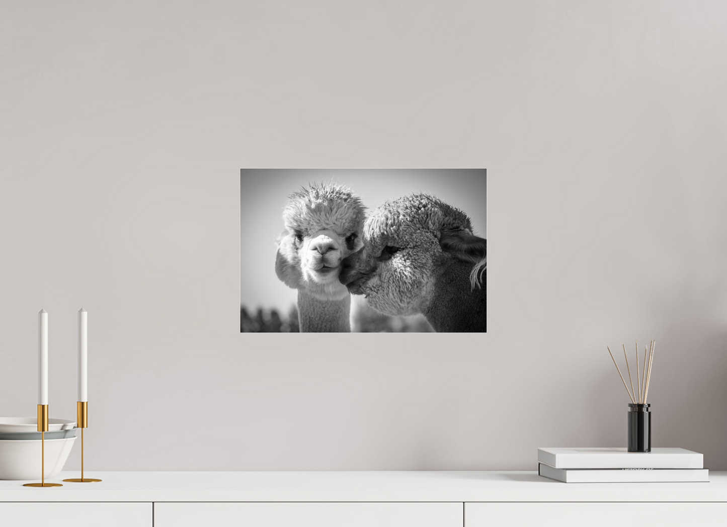 15 x 10″, Photo Print Under Acrylic Glass Alpaca Kiss