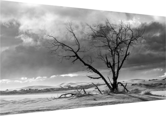 In A Landscape