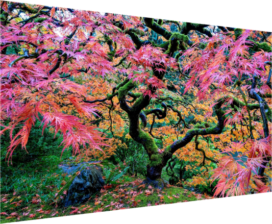 The Tree