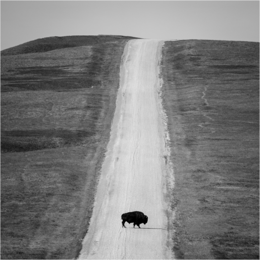 Main image Unbounded