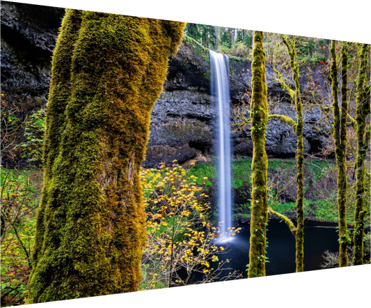 Silver Falls Autumn