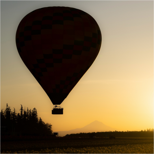 Sunrise Balloon Ride