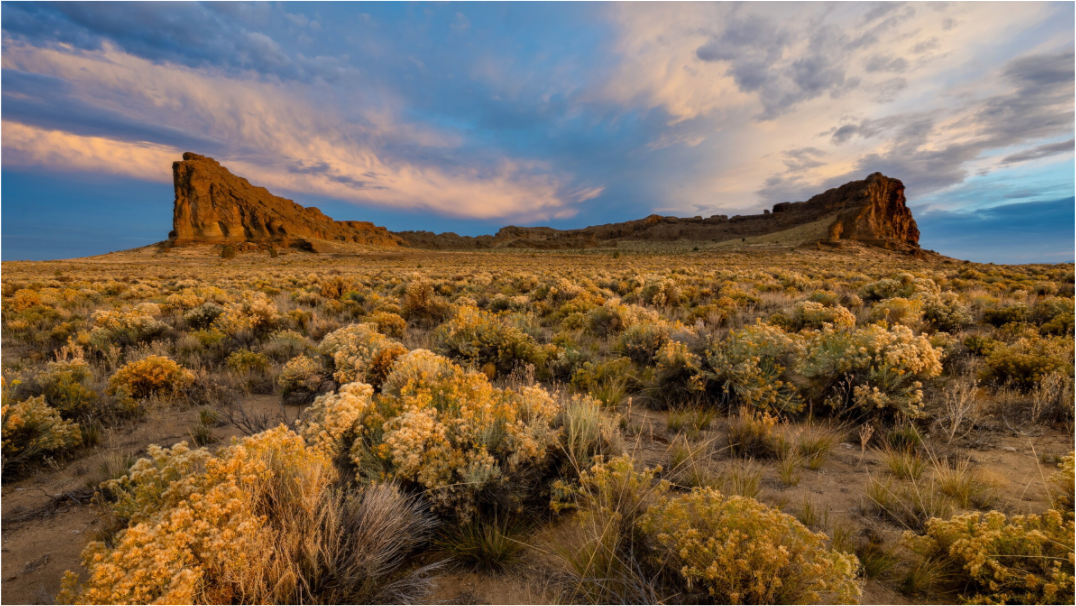 Main image High Desert