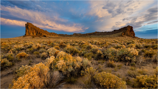 Main image High Desert