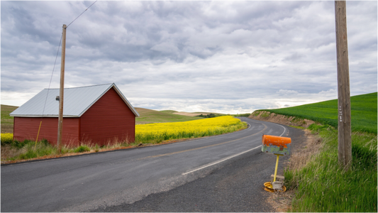Found the Canola