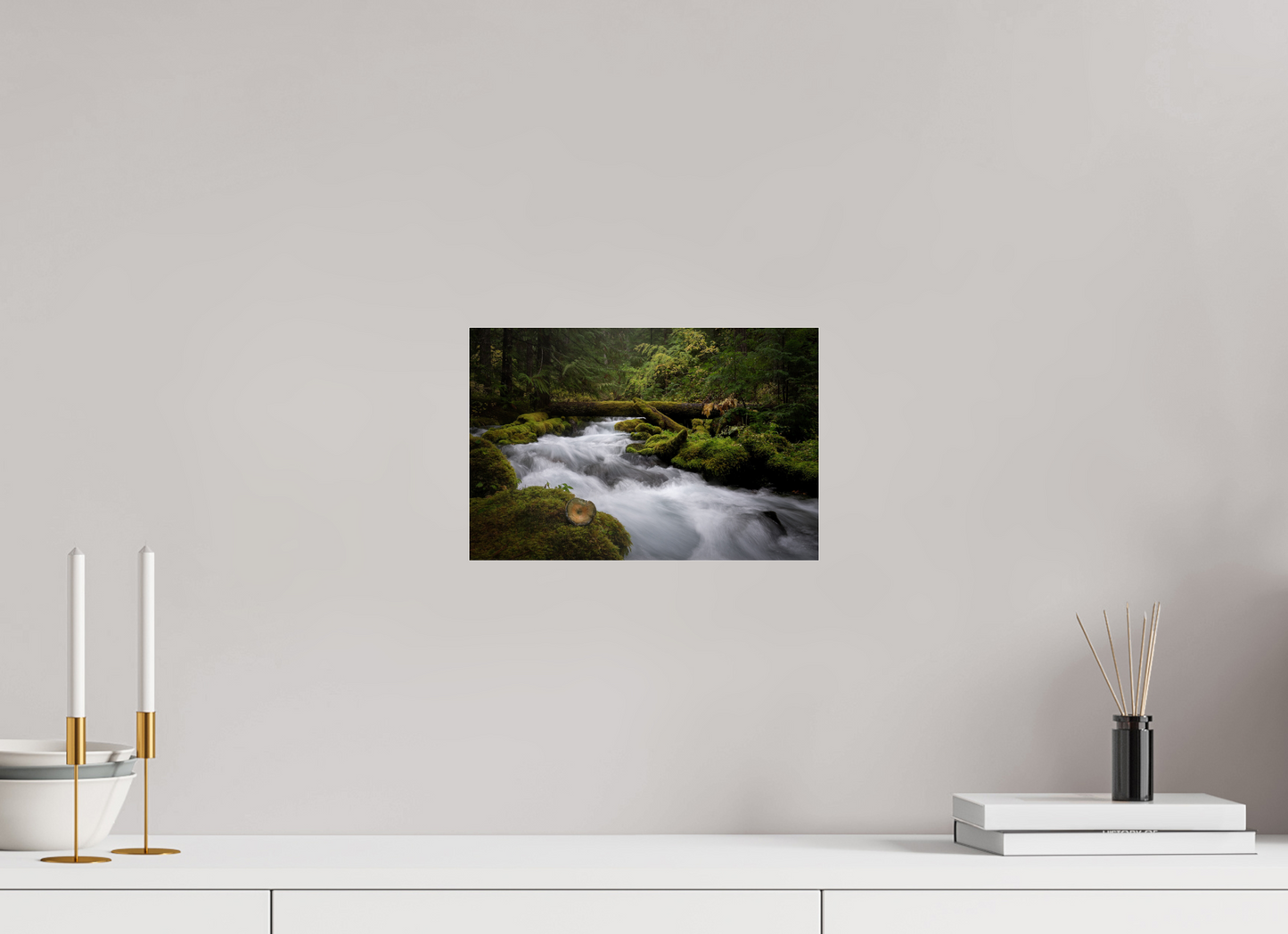 12 x 8″, Photo Print Under Acrylic Glass I Spy Fungi