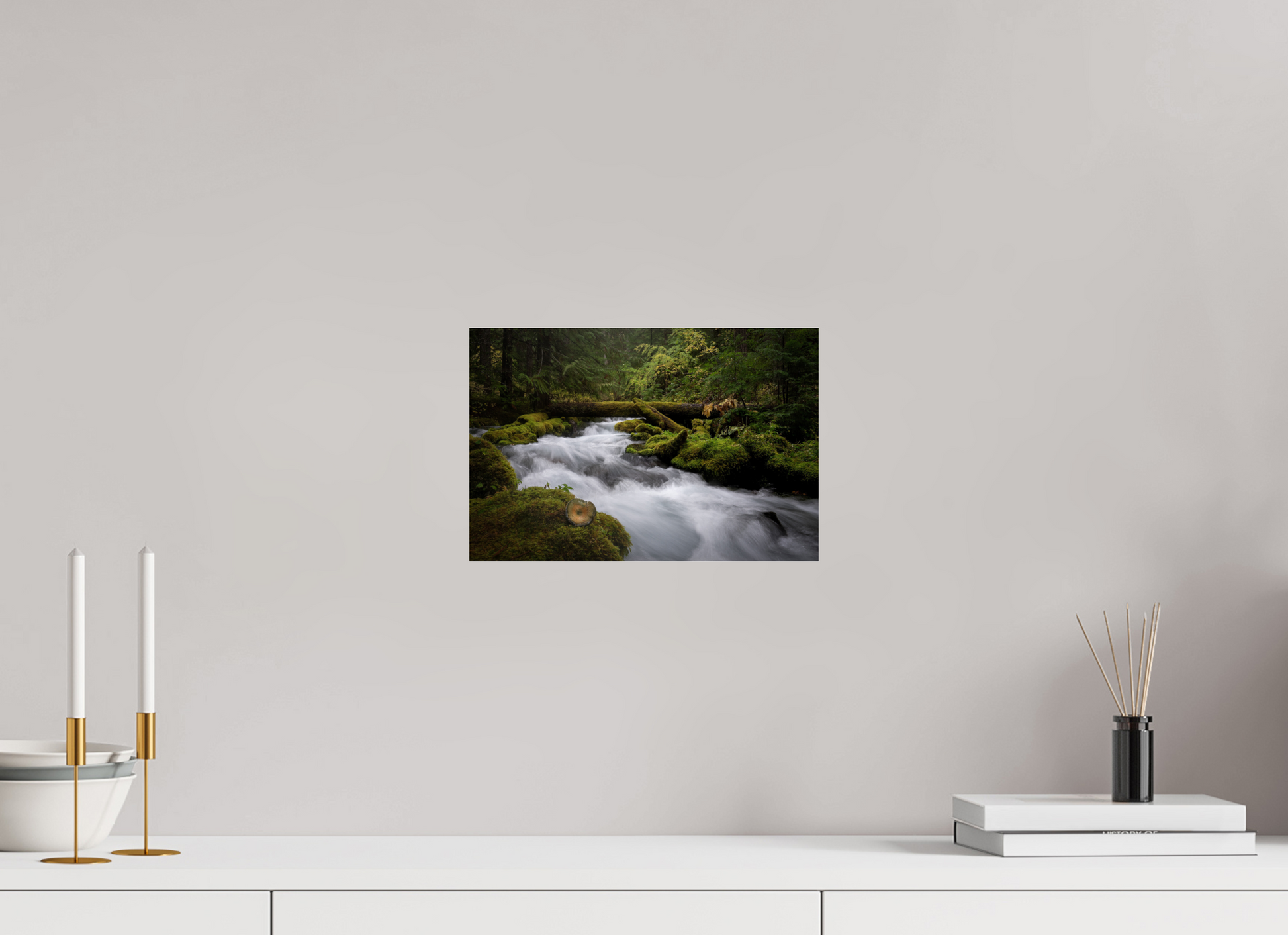 12 x 8″, Photo Print Under Acrylic Glass I Spy Fungi