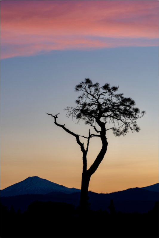 Stand Alone