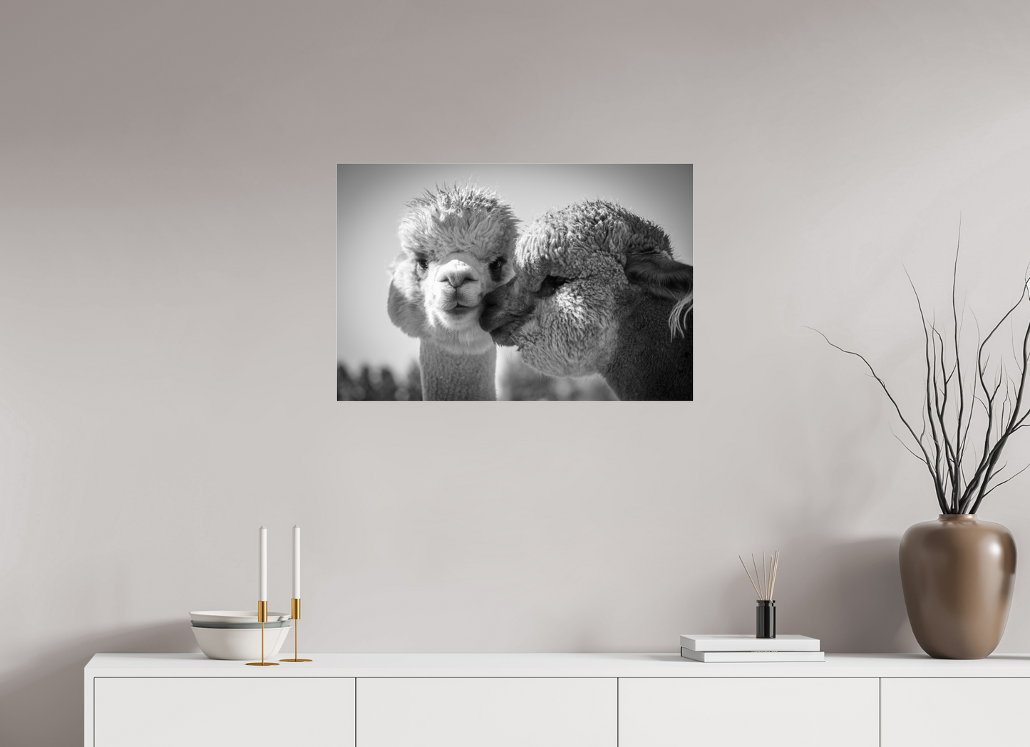 30 x 20″, Photo Print Under Acrylic Glass Alpaca Kiss