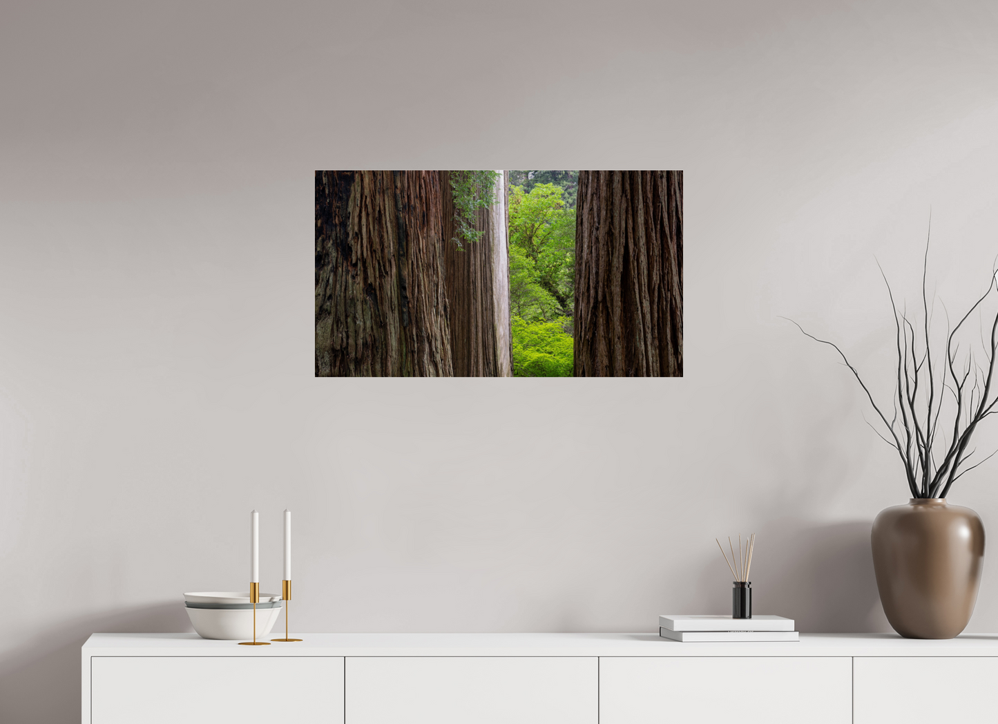 Stout Grove Redwoods