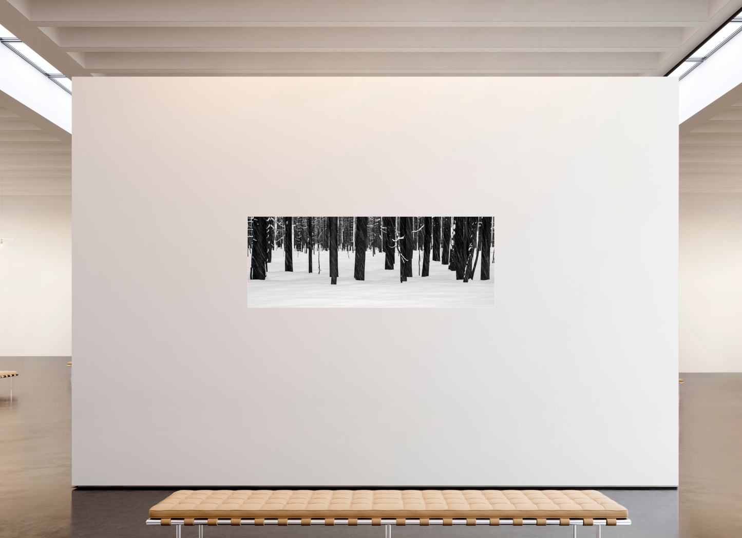 84 x 31″, Photo Print Under Acrylic Glass Consequence