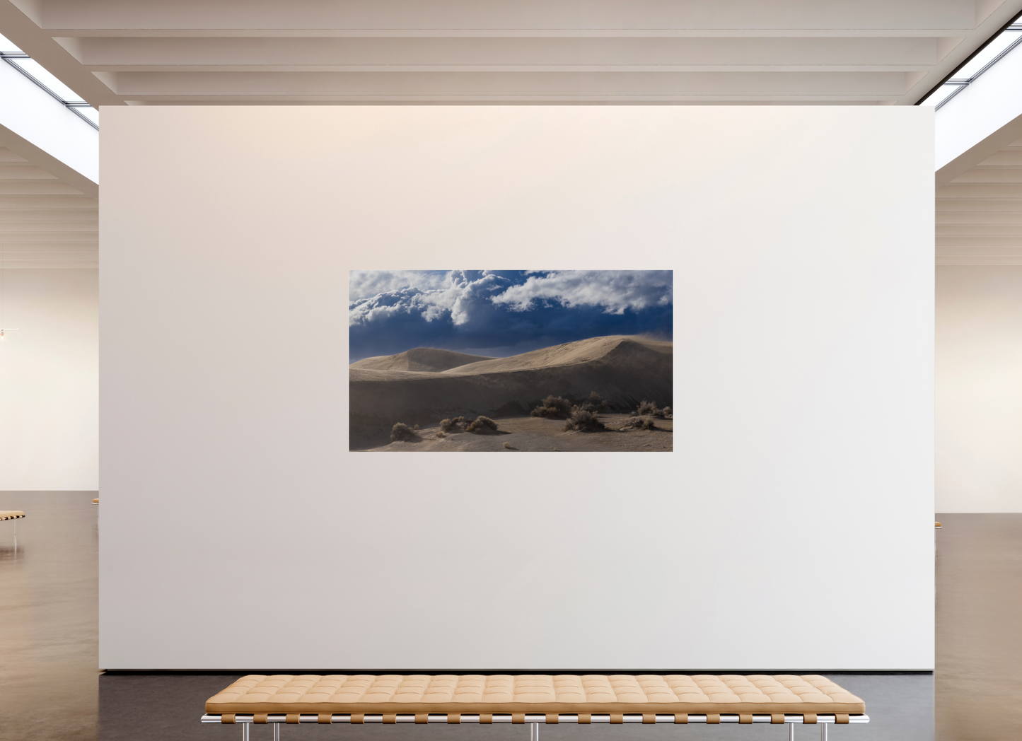 Christmas Valley Sand Dunes