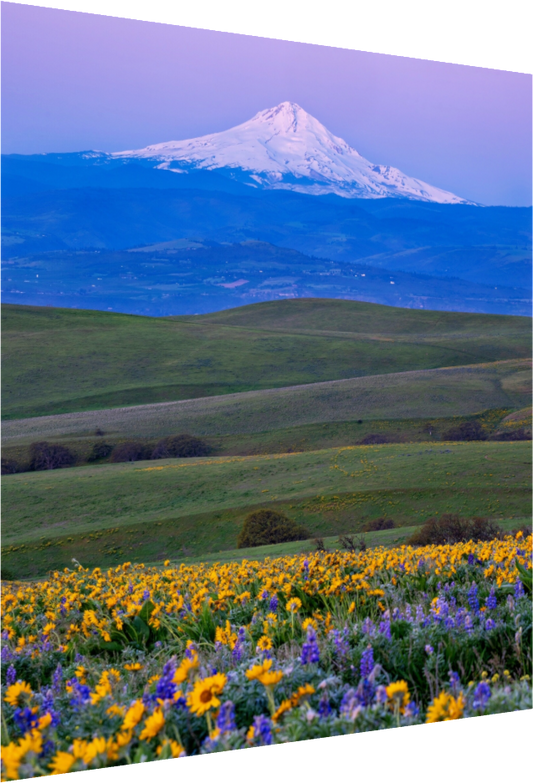 Mount Hood Spring