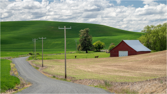 Rural Americana