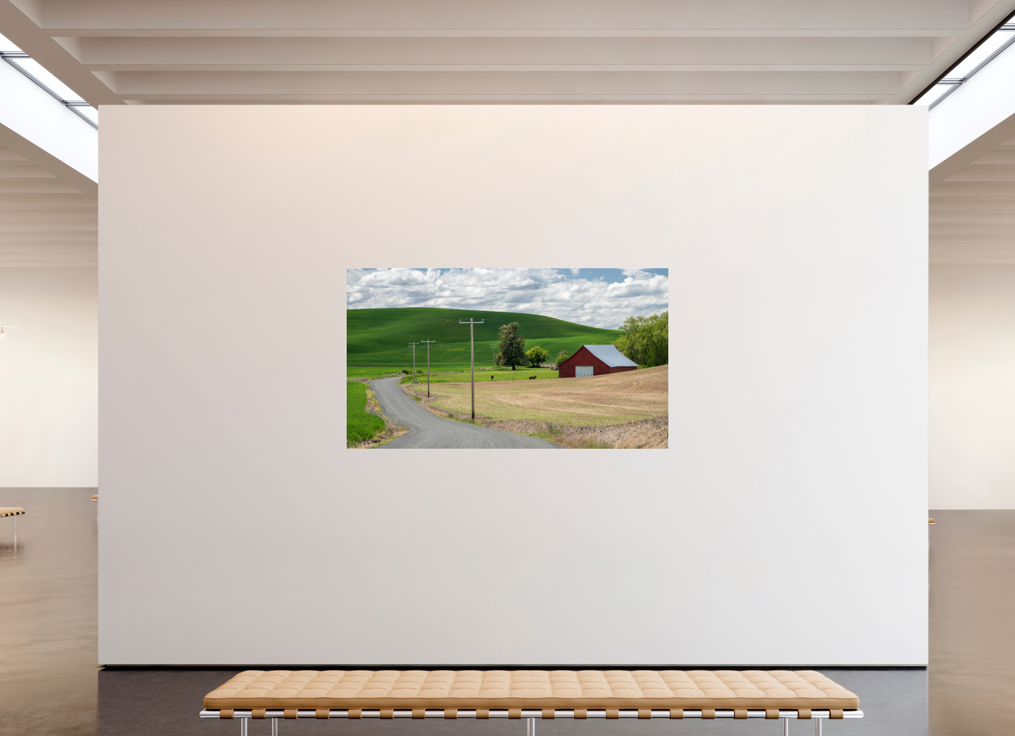 Rural Americana