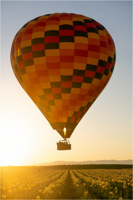 Balloon over Tulips