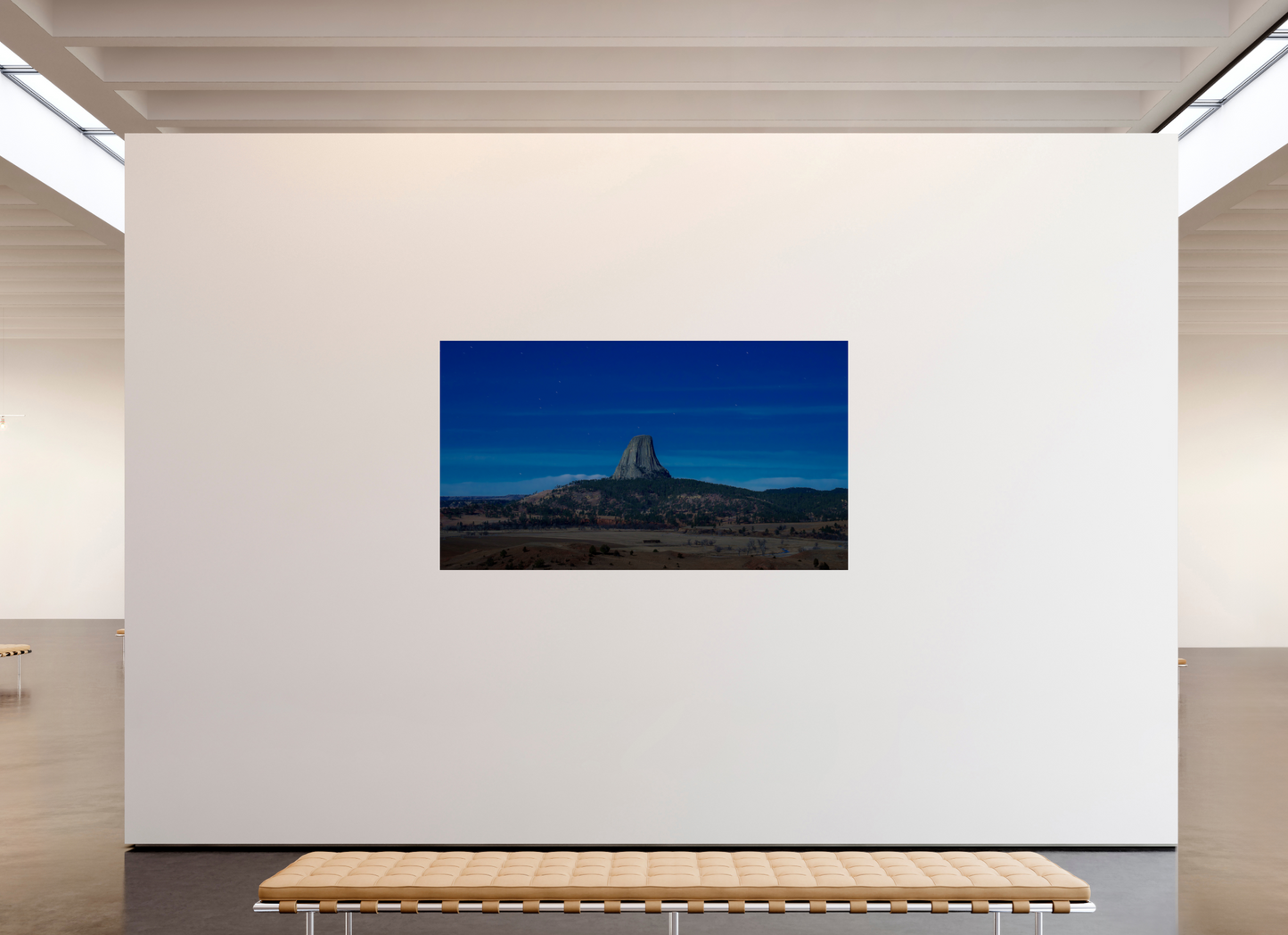 80 x 45″, Photo Print Under Acrylic Glass Devil's Tower Under a Full Moon