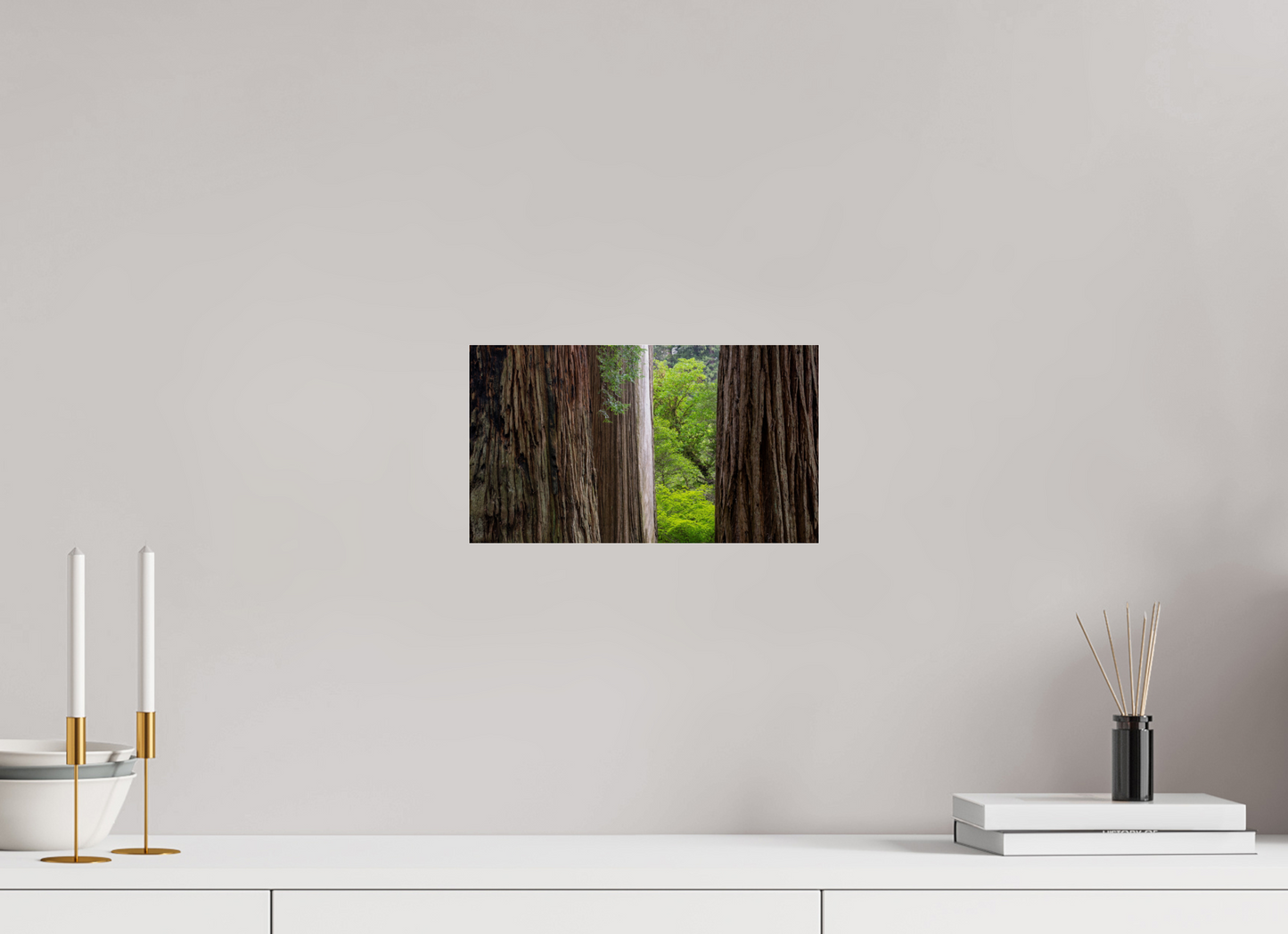 Stout Grove Redwoods