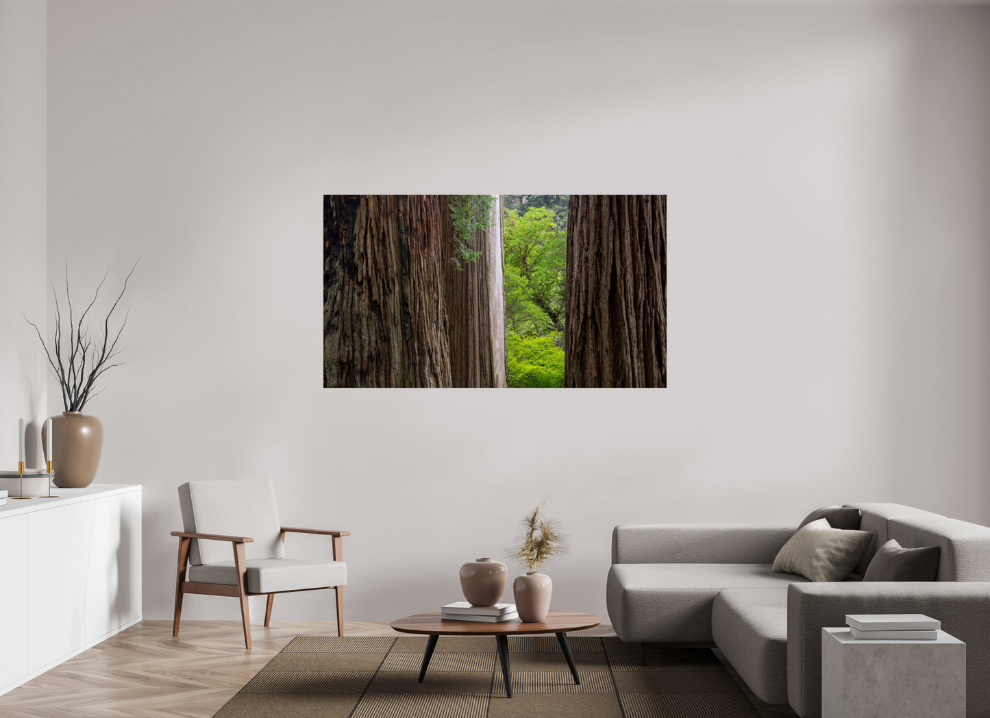 Stout Grove Redwoods