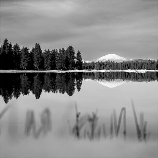 Main image Title TBA 2