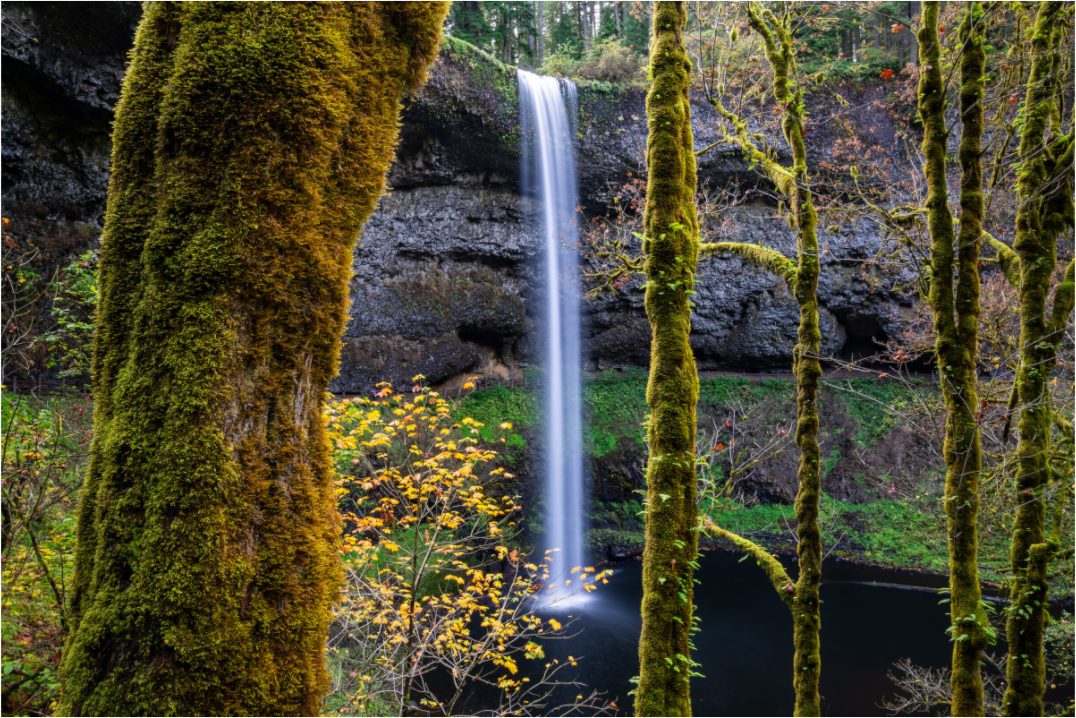 Silver Falls Autumn