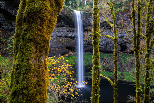 Silver Falls Autumn